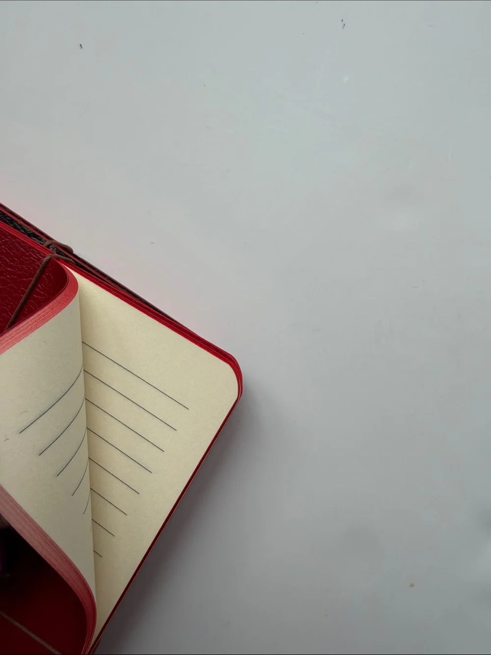 Bieffe Italian Handmade Faux Leather Notebook Set (Set of 6)